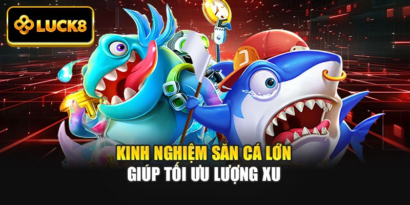 Kinh nghiệm săn cá lớn giúp tối ưu lượng xu